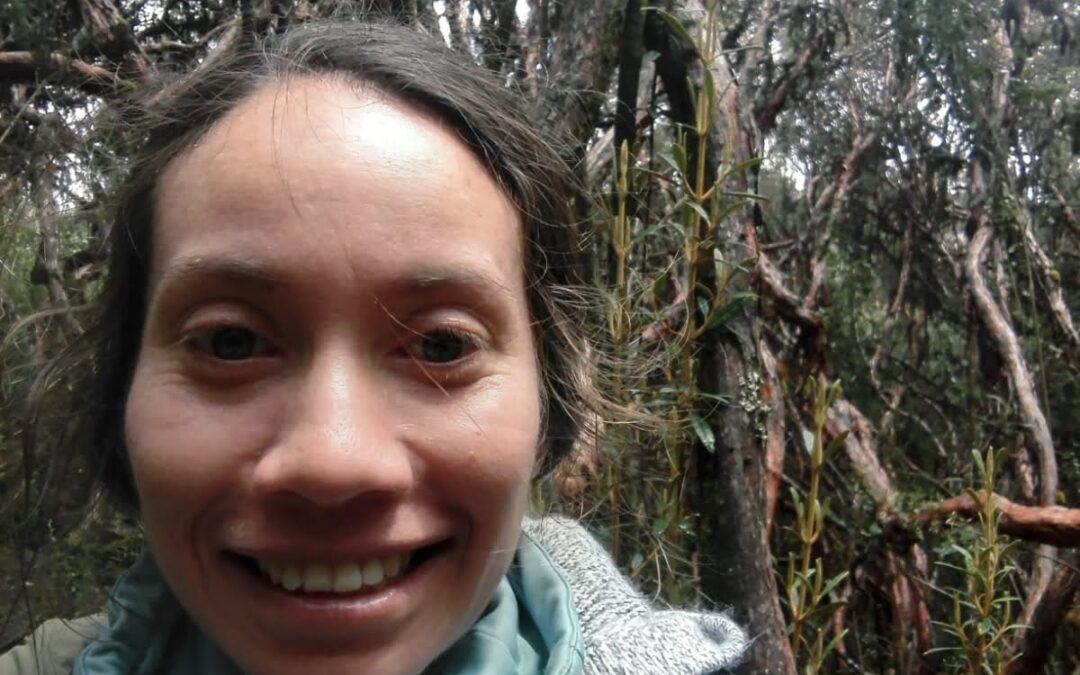 Andrea Lucía Araujo Navas